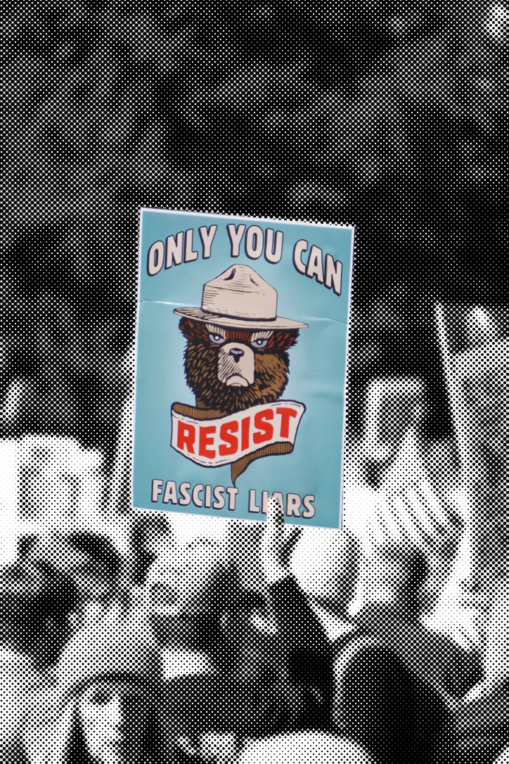 Only You Can Resist Fascism poster